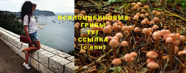 прущий лед Арсеньев