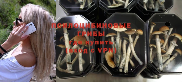 прущий лед Арсеньев