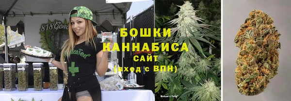 прущий лед Арсеньев
