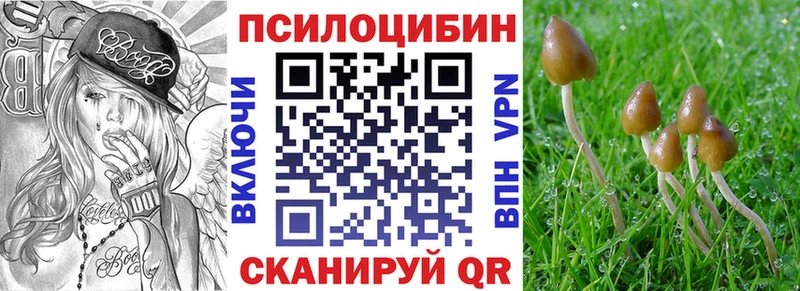 Псилоцибиновые грибы прущие грибы  наркота  Балей 